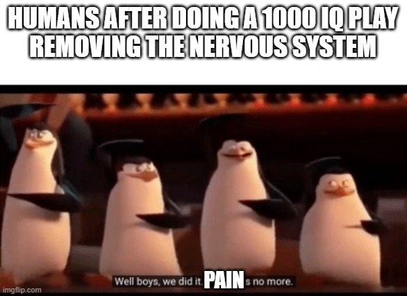 made by friend posted by me when you remove nervous system | HUMANS AFTER DOING A 1000 IQ PLAY
REMOVING THE NERVOUS SYSTEM; PAIN | image tagged in well boys we did it blank is no more | made w/ Imgflip meme maker