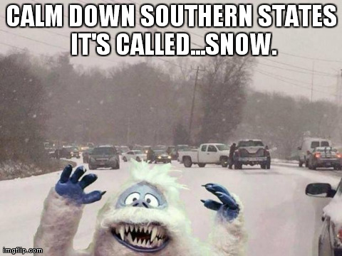 CALM DOWN SOUTHERN STATES IT'S CALLED...SNOW. | image tagged in bumble | made w/ Imgflip meme maker
