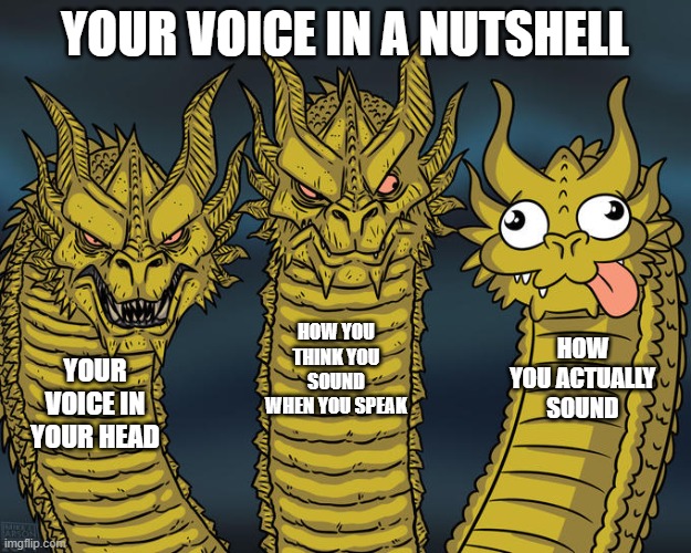 free epic Casein | YOUR VOICE IN A NUTSHELL; HOW YOU THINK YOU SOUND WHEN YOU SPEAK; HOW YOU ACTUALLY SOUND; YOUR VOICE IN YOUR HEAD | image tagged in three-headed dragon | made w/ Imgflip meme maker