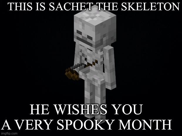 Satchel The Skeleton | THIS IS SACHET THE SKELETON; HE WISHES YOU A VERY SPOOKY MONTH | image tagged in skeleton,spooktober,halloween,minecraft,spooky,spooky month | made w/ Imgflip meme maker