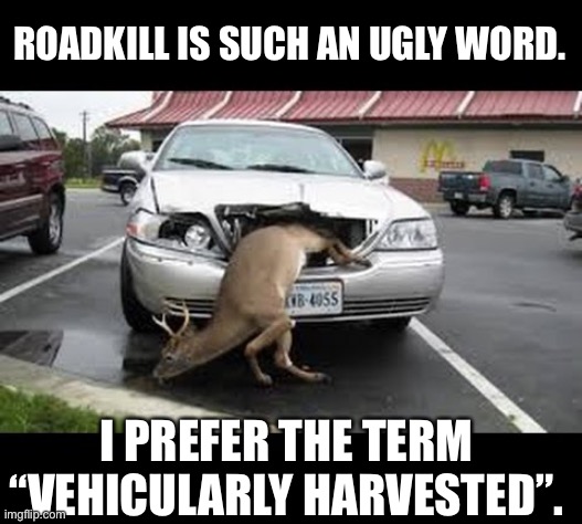 Oh Deer! | ROADKILL IS SUCH AN UGLY WORD. I PREFER THE TERM “VEHICULARLY HARVESTED”. | image tagged in oh dear | made w/ Imgflip meme maker