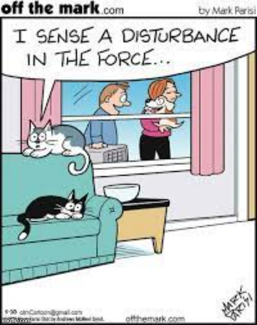 image tagged in memes,comics,cats,new horizons,puppy,disturbance in the force | made w/ Imgflip meme maker