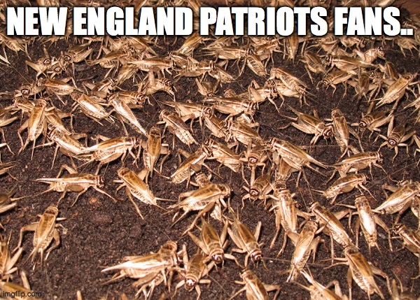 crickets | NEW ENGLAND PATRIOTS FANS.. | image tagged in crickets | made w/ Imgflip meme maker