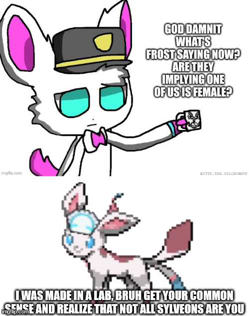 fr | I WAS MADE IN A LAB, BRUH GET YOUR COMMON SENSE AND REALIZE THAT NOT ALL SYLVEONS ARE YOU | made w/ Imgflip meme maker