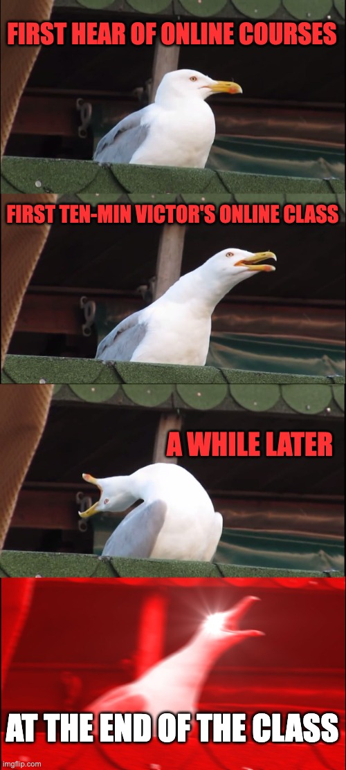 Inhaling Seagull Meme | FIRST HEAR OF ONLINE COURSES; FIRST TEN-MIN VICTOR'S ONLINE CLASS; A WHILE LATER; AT THE END OF THE CLASS | image tagged in memes,inhaling seagull | made w/ Imgflip meme maker