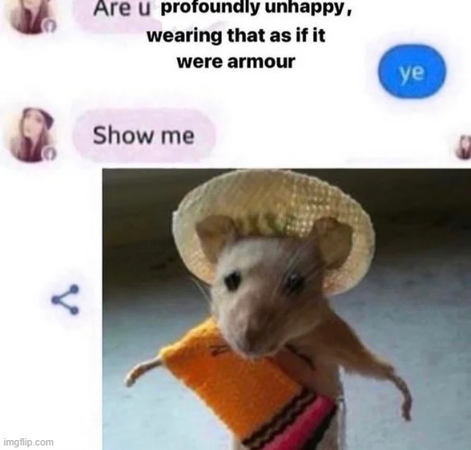 made w/ Imgflip meme maker