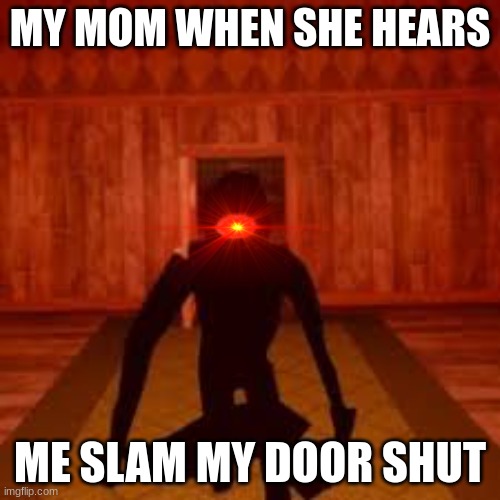 My Angry Mom | MY MOM WHEN SHE HEARS; ME SLAM MY DOOR SHUT | image tagged in doors | made w/ Imgflip meme maker