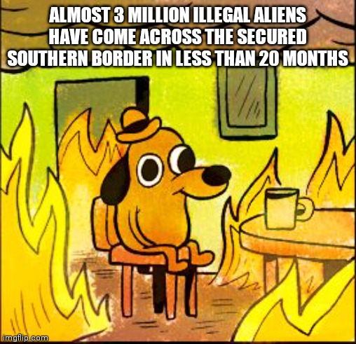 Just Imagine if the Southern Border was Wide Open! | ALMOST 3 MILLION ILLEGAL ALIENS HAVE COME ACROSS THE SECURED SOUTHERN BORDER IN LESS THAN 20 MONTHS | image tagged in this is fine,who,will,pick,the,oranges | made w/ Imgflip meme maker