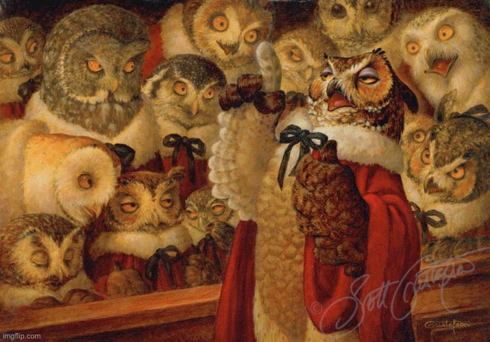 A parliament of owls | made w/ Imgflip meme maker