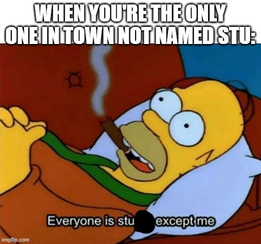 lol | WHEN YOU'RE THE ONLY ONE IN TOWN NOT NAMED STU: | image tagged in everyone is stupid except me | made w/ Imgflip meme maker