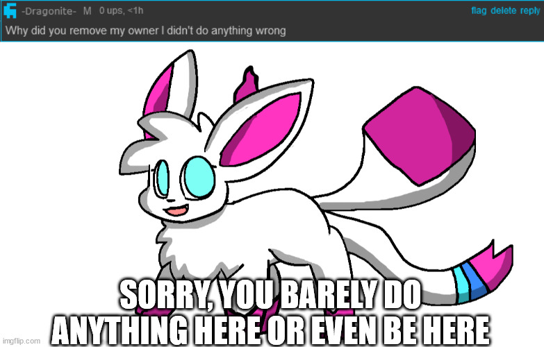 SORRY, YOU BARELY DO ANYTHING HERE OR EVEN BE HERE | image tagged in sylceon again | made w/ Imgflip meme maker