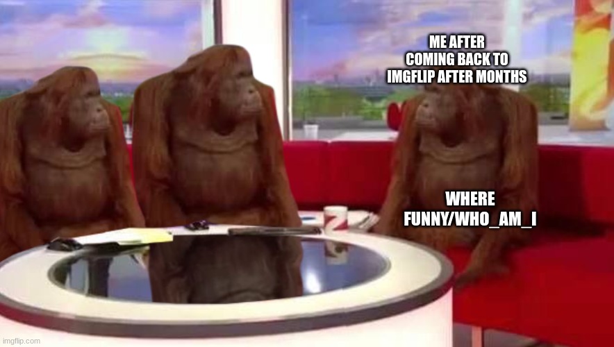 where monkey | ME AFTER COMING BACK TO IMGFLIP AFTER MONTHS; WHERE FUNNY/WHO_AM_I | image tagged in where monkey | made w/ Imgflip meme maker