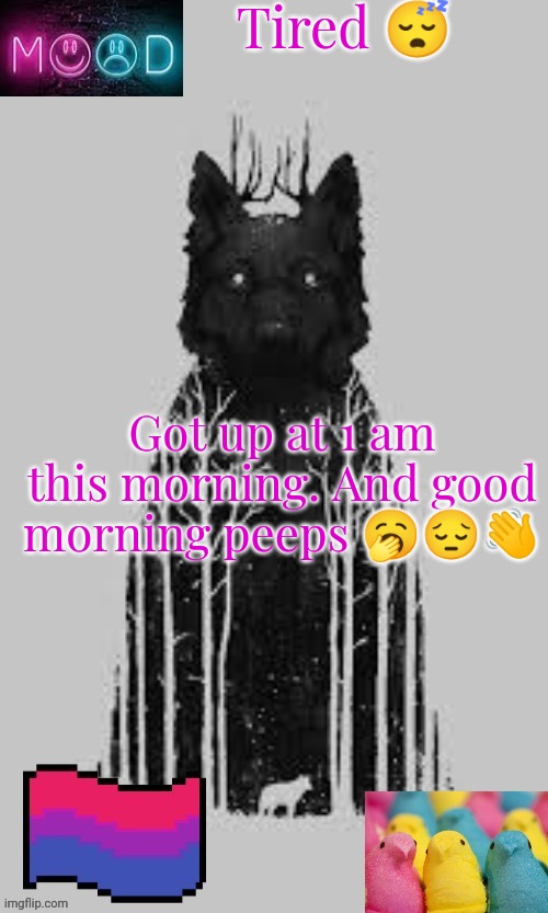 Tired 😴; Got up at 1 am this morning. And good morning peeps 🥱😔👋 | image tagged in puppymavrelgirlwolf announcement template | made w/ Imgflip meme maker