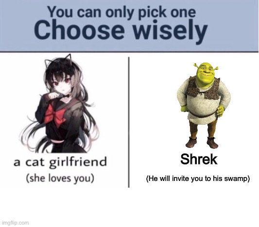 Choose wisely | Shrek; (He will invite you to his swamp) | image tagged in choose wisely | made w/ Imgflip meme maker