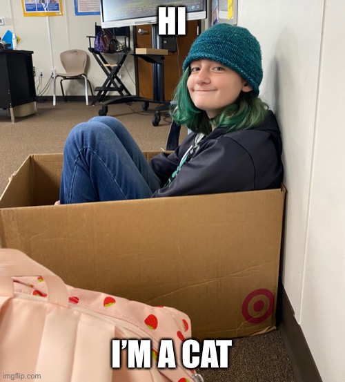 Hi I’m a cat | HI; I’M A CAT | image tagged in hi i m a cat | made w/ Imgflip meme maker