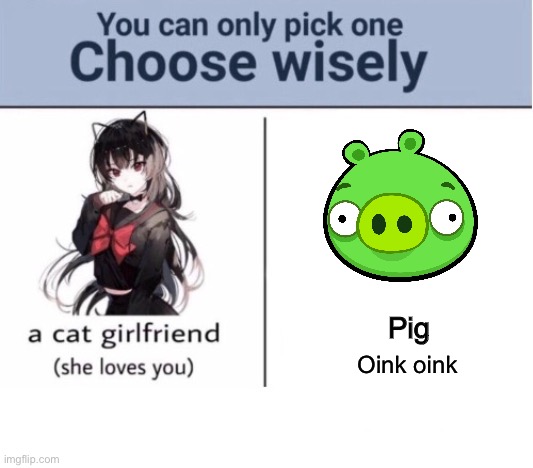 Choose wisely | Pig; Oink oink | image tagged in choose wisely | made w/ Imgflip meme maker
