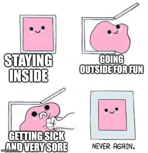 Bruh | STAYING INSIDE; GOING OUTSIDE FOR FUN; GETTING SICK AND VERY SORE | image tagged in never again | made w/ Imgflip meme maker