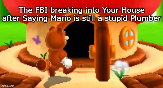 Mario chill | The FBI breaking into Your House after Saying Mario is still a stupid Plumber | image tagged in mario,fbi open up | made w/ Imgflip meme maker