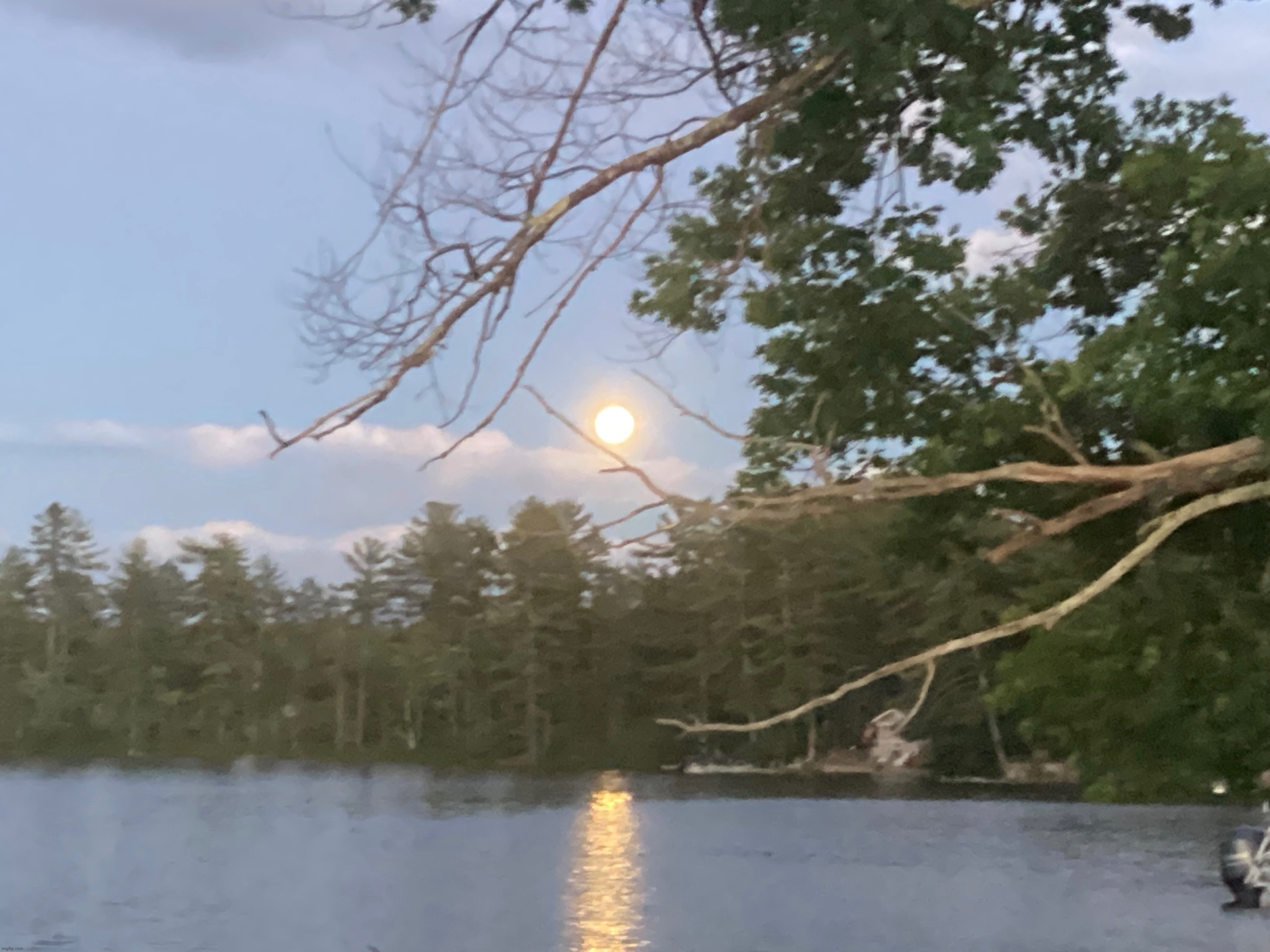 Moon on the lake a couple months ago, I thought this was pretty cool | image tagged in share your own photos | made w/ Imgflip meme maker