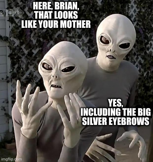 Aliens | HERE, BRIAN, THAT LOOKS LIKE YOUR MOTHER YES, INCLUDING THE BIG SILVER EYEBROWS | image tagged in aliens | made w/ Imgflip meme maker