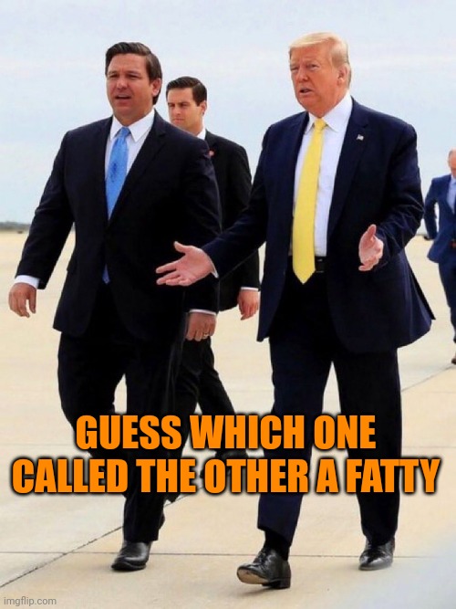 Fatties | GUESS WHICH ONE CALLED THE OTHER A FATTY | image tagged in trump desantis just getting started | made w/ Imgflip meme maker