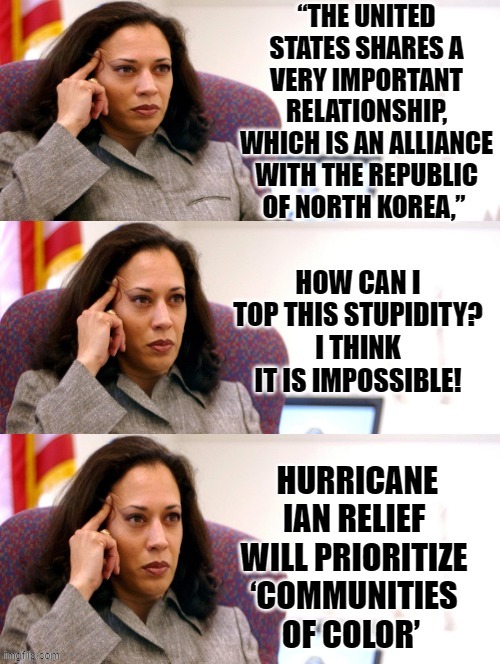 Does any sane person believe we should pick people to help based on color? Insane woke Democrats do! | HURRICANE IAN RELIEF WILL PRIORITIZE ‘COMMUNITIES OF COLOR’ | image tagged in insane,stupid liberals,that's racist,racist,morons,idiots | made w/ Imgflip meme maker