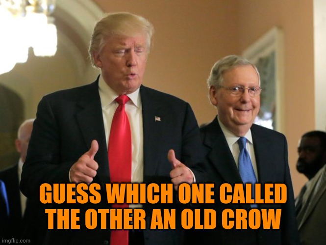 Takes one to know one | GUESS WHICH ONE CALLED THE OTHER AN OLD CROW | image tagged in trump mcconnell | made w/ Imgflip meme maker