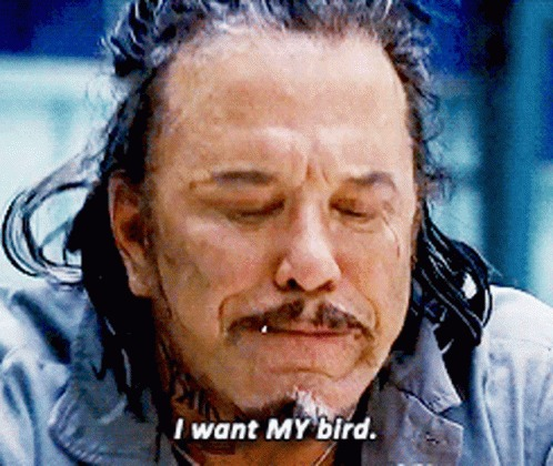 "I WANT MY BIRD", IRON MAN, WHIPLASH Blank Meme Template