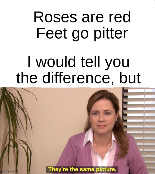 Roses are red | Roses are red
Feet go pitter; I would tell you the difference, but | image tagged in memes,they're the same picture | made w/ Imgflip meme maker