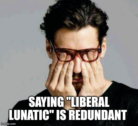 Reacting to Liberals | SAYING "LIBERAL LUNATIC" IS REDUNDANT | image tagged in reacting to liberals | made w/ Imgflip meme maker