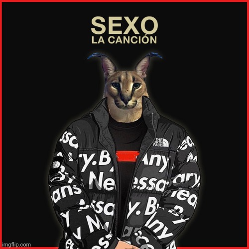 Sexo :thumb_up: | made w/ Imgflip meme maker