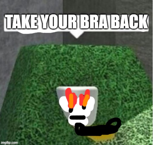 lettuce | TAKE YOUR BRA BACK | image tagged in lettuce | made w/ Imgflip meme maker