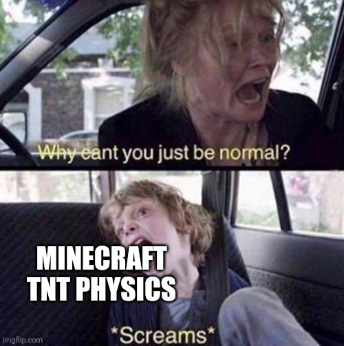 Why Can't You Just Be Normal | MINECRAFT TNT PHYSICS | image tagged in why can't you just be normal | made w/ Imgflip meme maker