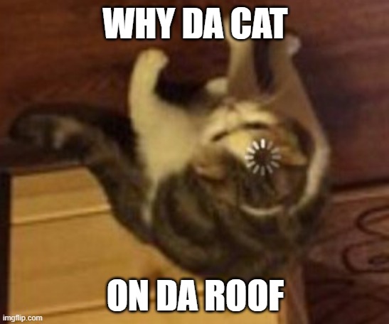 im to bored | WHY DA CAT; ON DA ROOF | image tagged in loading cat | made w/ Imgflip meme maker