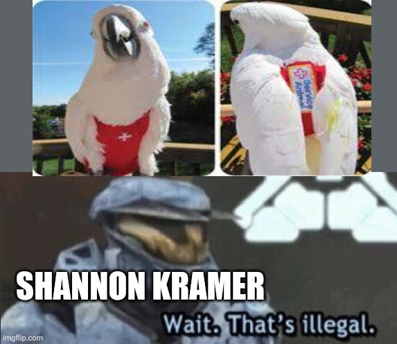 The Karen that doesn't believe in therapy birds | SHANNON KRAMER | image tagged in wait that s illegal | made w/ Imgflip meme maker