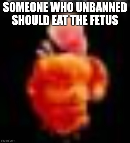 SOMEONE WHO UNBANNED SHOULD EAT THE FETUS | made w/ Imgflip meme maker