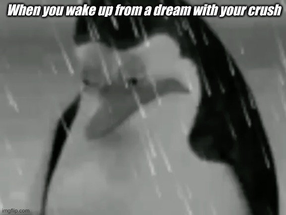 not a pleasant feeling isn't it. | When you wake up from a dream with your crush | image tagged in sadge | made w/ Imgflip meme maker