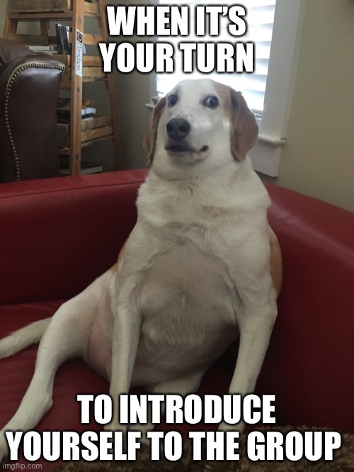 Time to introduce yourself | WHEN IT’S YOUR TURN; TO INTRODUCE YOURSELF TO THE GROUP | image tagged in uncomfortable dog 2 | made w/ Imgflip meme maker