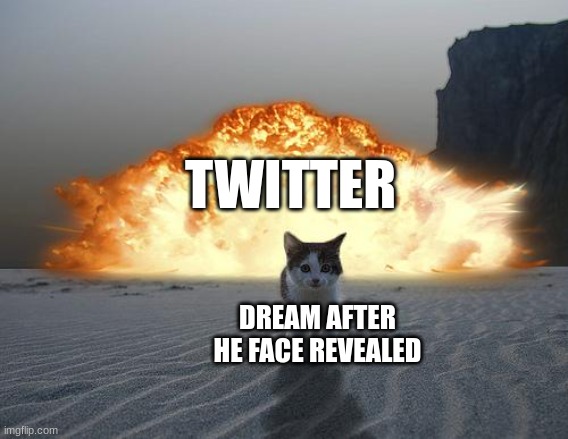 boom | TWITTER; DREAM AFTER HE FACE REVEALED | image tagged in cat explosion,dream,face reveal | made w/ Imgflip meme maker