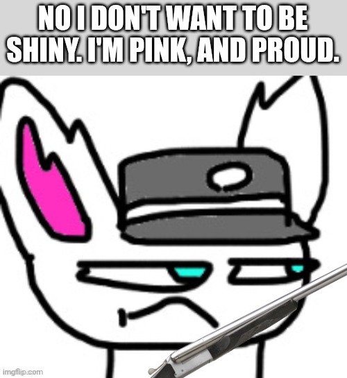 NO I DON'T WANT TO BE SHINY. I'M PINK, AND PROUD. | made w/ Imgflip meme maker