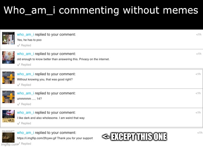 Wow | Who_am_i commenting without memes; <- EXCEPT THIS ONE | image tagged in who am i,who_am_i | made w/ Imgflip meme maker