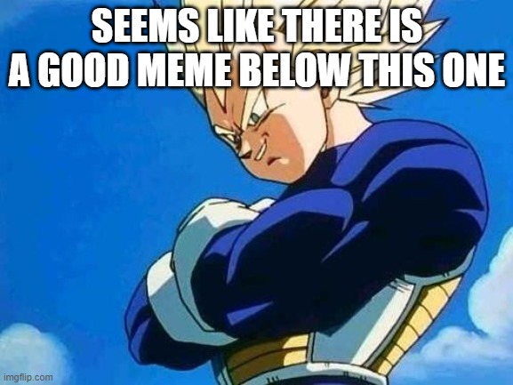 im running out of titles | SEEMS LIKE THERE IS A GOOD MEME BELOW THIS ONE | image tagged in vegeta looking down | made w/ Imgflip meme maker