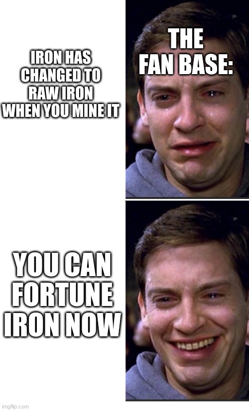 WHOO YEA BABY | THE FAN BASE:; IRON HAS CHANGED TO RAW IRON WHEN YOU MINE IT; YOU CAN FORTUNE IRON NOW | image tagged in peter parker crying/happy,minecraft,happy,irony | made w/ Imgflip meme maker