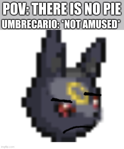 PIE | UMBRECARIO: *NOT AMUSED*; POV: THERE IS NO PIE | image tagged in umbrecario not amused | made w/ Imgflip meme maker