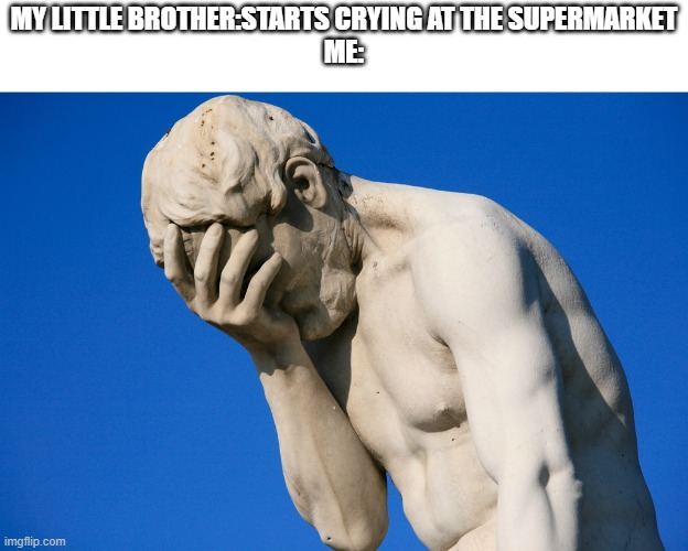 can anyone relate? | MY LITTLE BROTHER:STARTS CRYING AT THE SUPERMARKET
ME: | image tagged in embarrassed statue | made w/ Imgflip meme maker