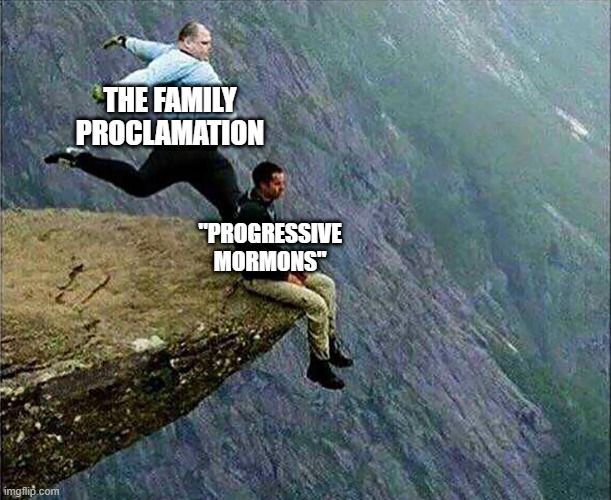 Marriage between a man and a woman is ordained of God. #DezNat | THE FAMILY PROCLAMATION; "PROGRESSIVE MORMONS" | image tagged in kicked off cliff | made w/ Imgflip meme maker