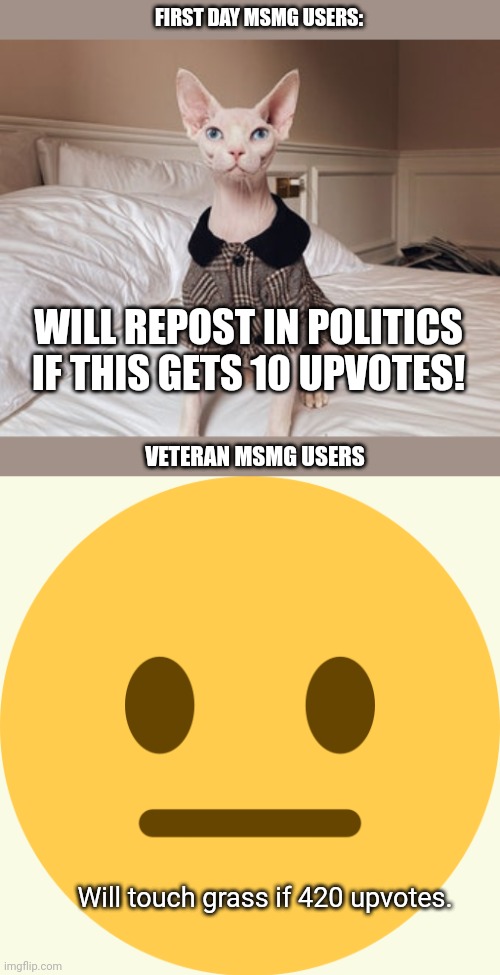 FIRST DAY MSMG USERS:; WILL REPOST IN POLITICS IF THIS GETS 10 UPVOTES! VETERAN MSMG USERS; Will touch grass if 420 upvotes. | image tagged in neutral emoji,because yes | made w/ Imgflip meme maker