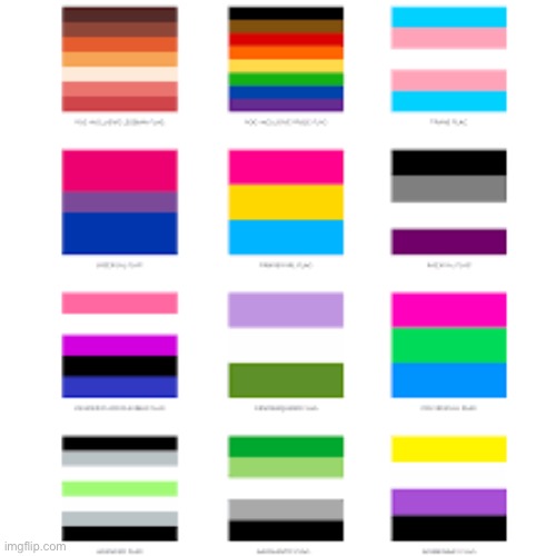 lgbtq flags | image tagged in lgbtq flags | made w/ Imgflip meme maker