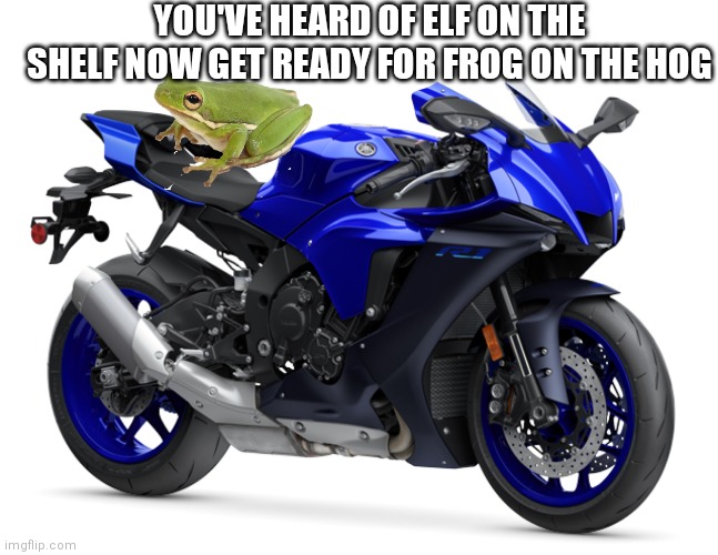 Funny |  YOU'VE HEARD OF ELF ON THE SHELF NOW GET READY FOR FROG ON THE HOG | image tagged in memes,elf on the shelf,funny memes | made w/ Imgflip meme maker