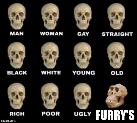 wierd furrys | FURRY'S | image tagged in idiot skull | made w/ Imgflip meme maker